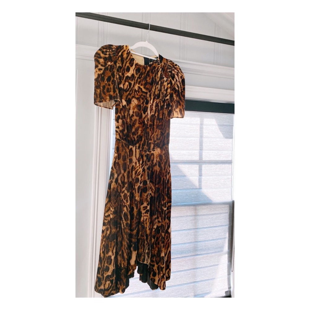 Animal print Isabel Marant dress